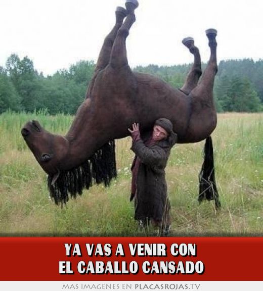 YA VAS A VENIR CON  EL CABALLO CANSADO