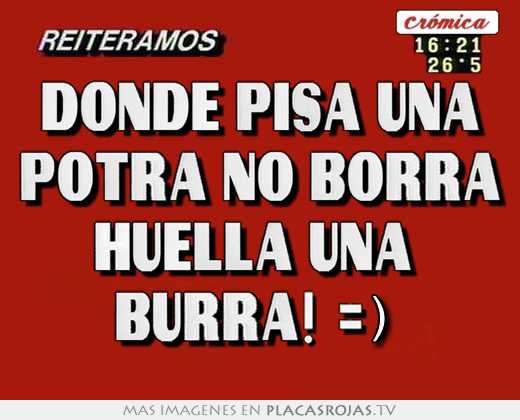 Donde pisa una potra no borra huella una  burra! =)