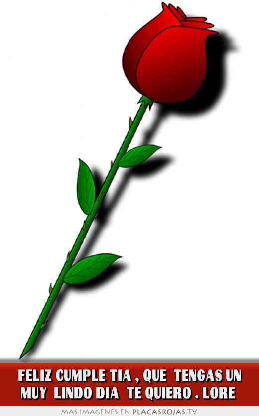 Feliz cumple tia , que  tengas un muy  lindo dia  te quiero . lore 