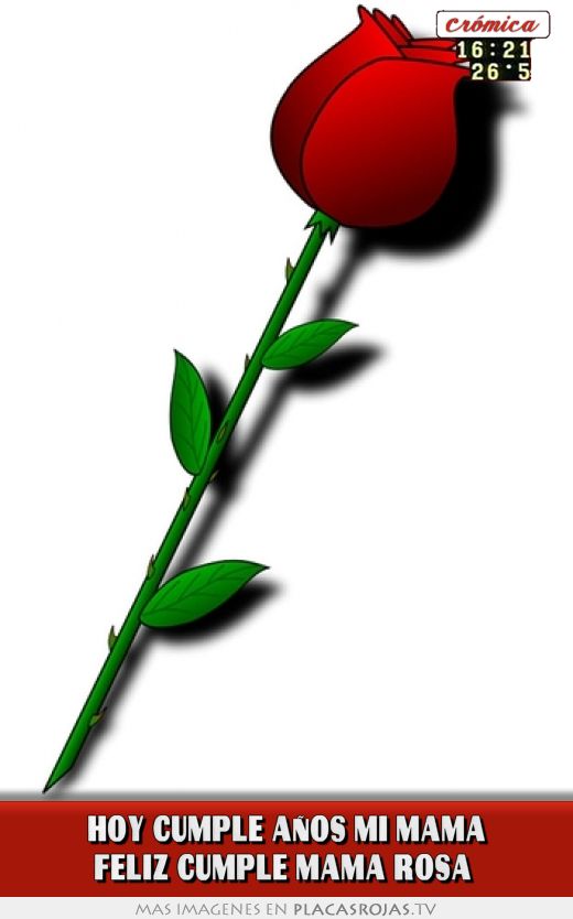 HOY CUMPLE AÑOS MI MAMA FELIZ CUMPLE MAMA ROSA 