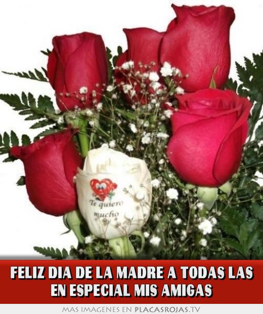 FELIZ DIA DE LA MADRE A TODAS LAS EN ESPECIAL MIS AMIGAS