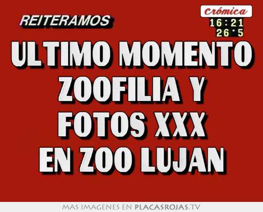 Ultimo momento zoofilia y fotos xxx en zoo lujan