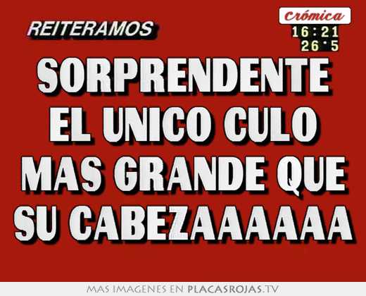 Sorprendente el único culo mas grande que su cabezaaaaaa