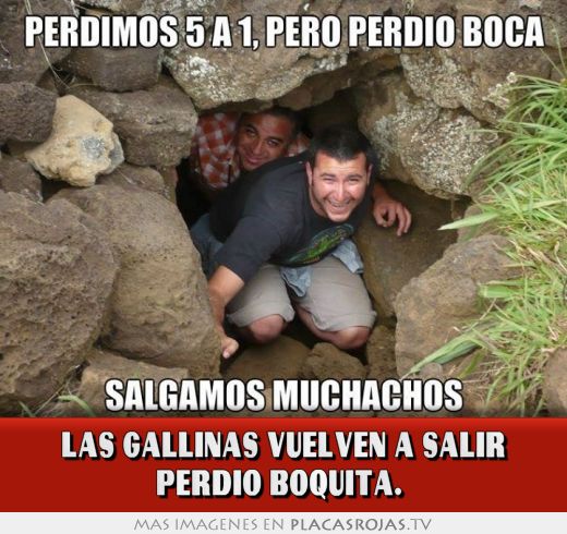 Las gallinas vuelven a salir perdio boquita. 
