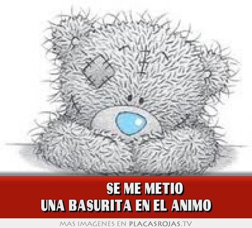             SE ME METIO  Una basurita en el animo