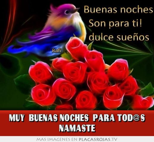 Muy  buenas noches  para tod@s namaste