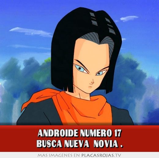ANDROIDE NÚMERO 17 BUSCA NUEVA 