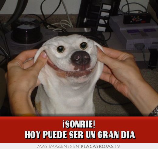 ¡sonrie!  hoy puede ser un gran dia