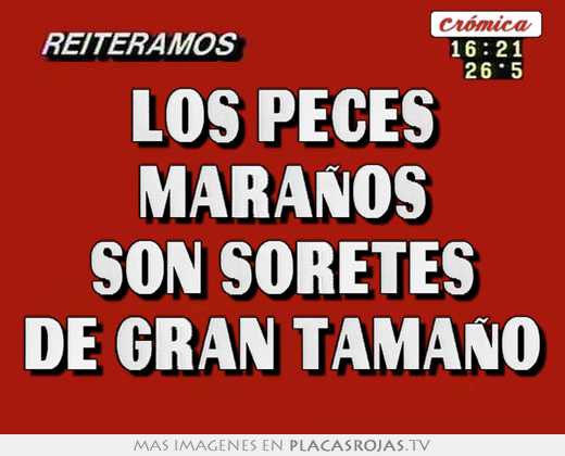 Los peces maraÑos son soretes de gran tamaÑo