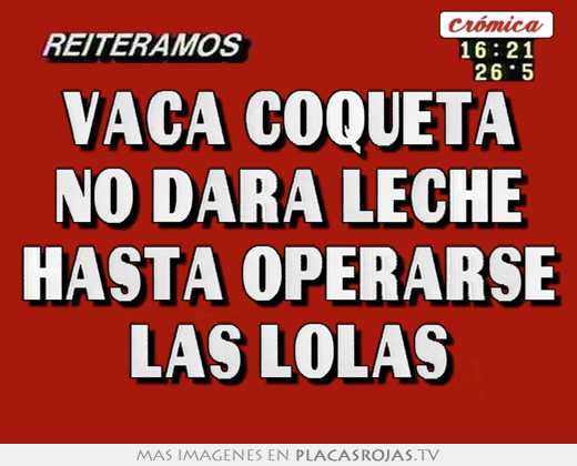 Vaca coqueta no dara leche hasta operarse las lolas