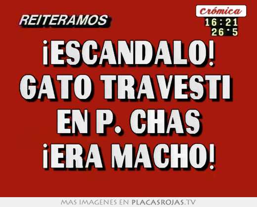 ¡escÁndalo! gato travesti  en p. chas ¡era macho!