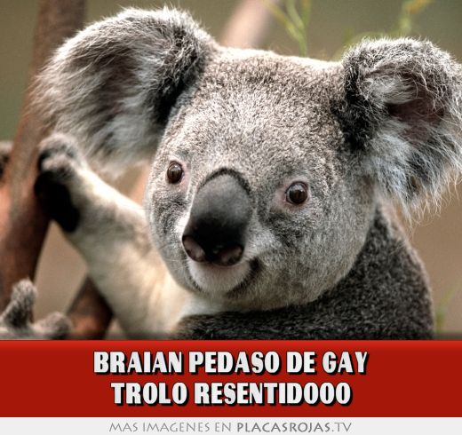 Braian pedaso de gay trolo resentidooo