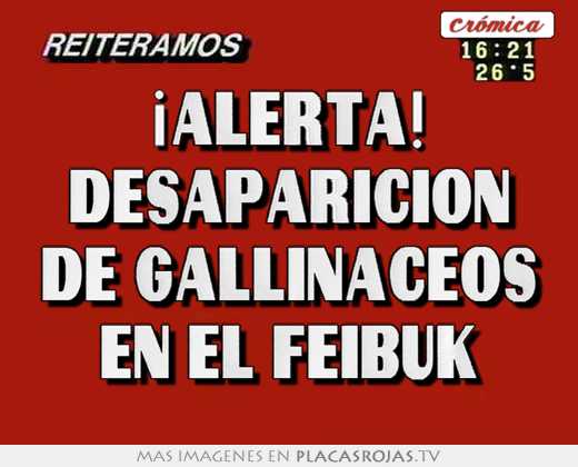 ¡alerta! desaparicion de gallinaceos en el feibuk