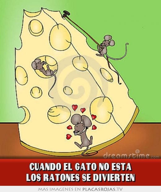Cuando el gato no esta los ratones se divierten
