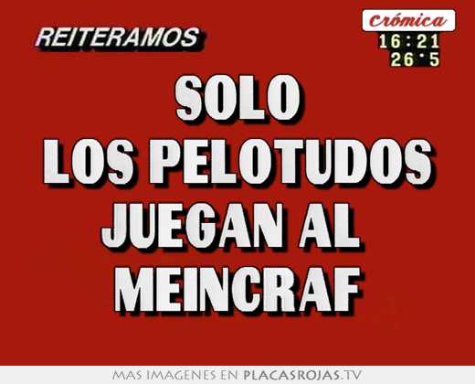 Solo los pelotudos juegan al  meincraf