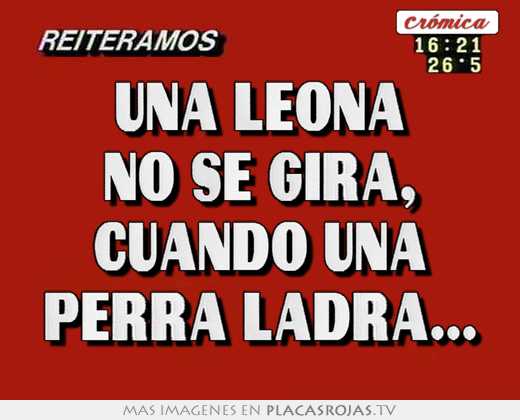 Una leona no se gira, cuando una perra ladra...