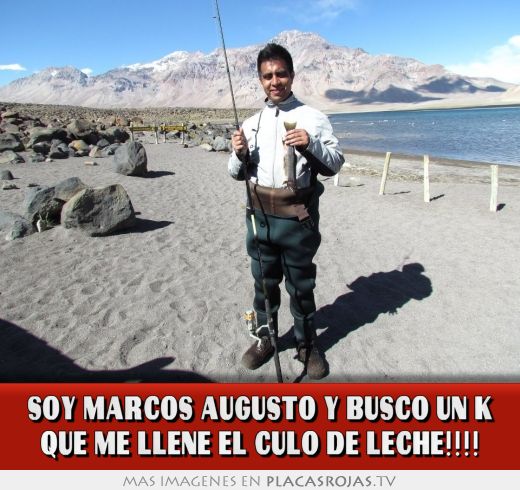 Soy marcos augusto y busco un k que me llene el culo de leche!!!!