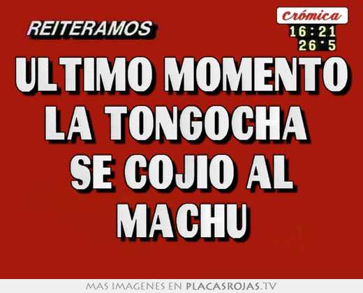 Ultimo momento la tongocha  se cojio al machu