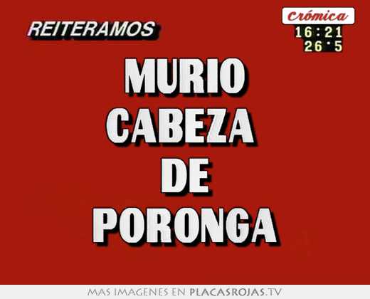 Murio cabeza  de poronga