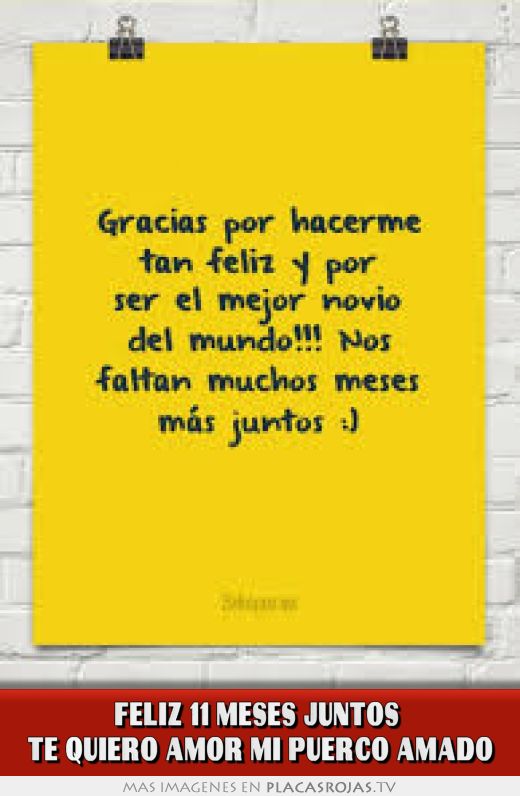 Feliz 11 meses juntos  te quiero amor mi puerco amado