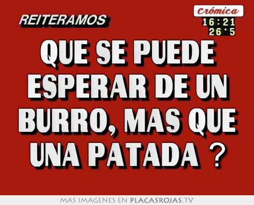 Que se puede esperar de un burro, mas que una patada ?