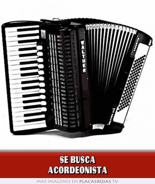 Se Busca Acordeonista