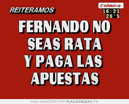 Fernando no seas rata y paga las  apuestas
