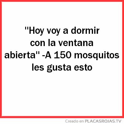 ''Hoy voy a dormir con la ventana abierta'' -A 150 mosquitos les gusta esto 