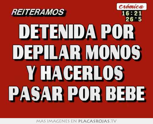 Detenida por depilar monos y hacerlos pasar por bebe - Placas Rojas TV