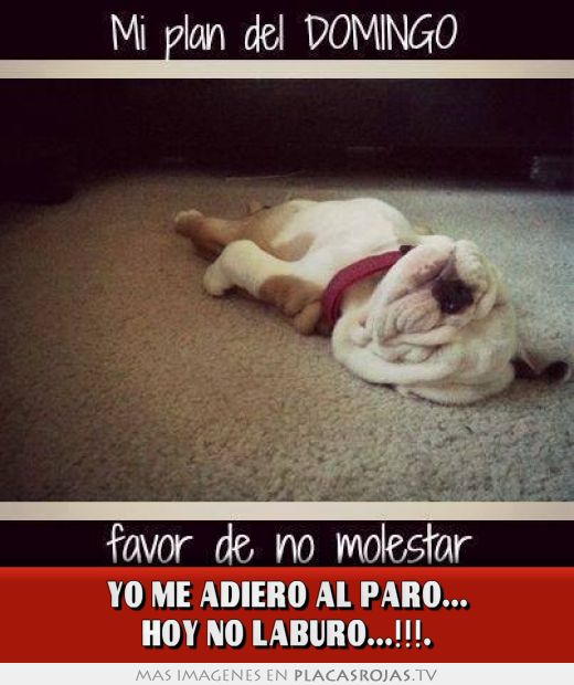 YO ME ADIERO AL PARO... HOY NO LABURO...!!!.