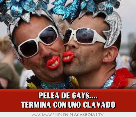 Pelea de gays.... termina con uno clavado