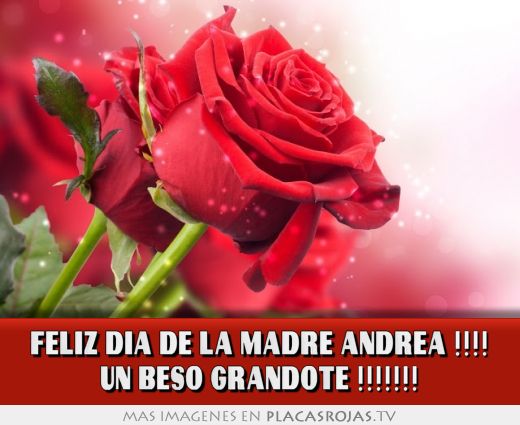 FELIZ DIA DE LA MADRE ANDREA !!!! UN BESO GRANDOTE !!!!!!!