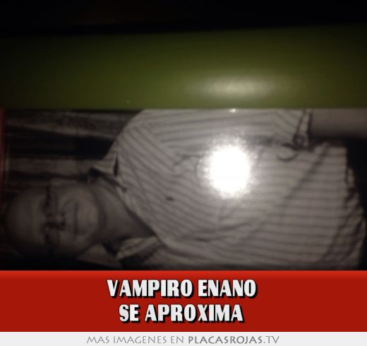 Vampiro enano  Se aproxima 