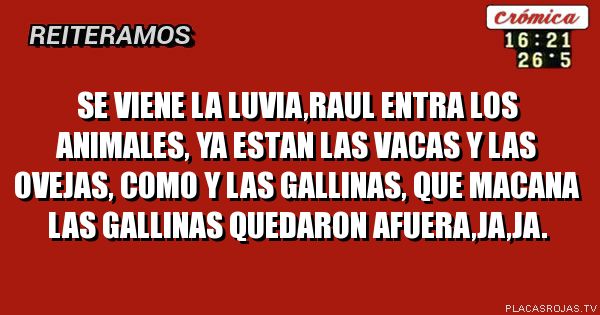 SE VIENE LA LUVIA,RAUL ENTRA LOS ANIMALES, YA ESTAN LAS VACAS Y LAS OVEJAS, COMO Y LAS GALLINAS, QUE MACANA LAS GALLINAS QUEDARON AFUERA,JA,JA.

