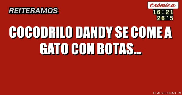 Cocodrilo DANDY se come a gato con botas...