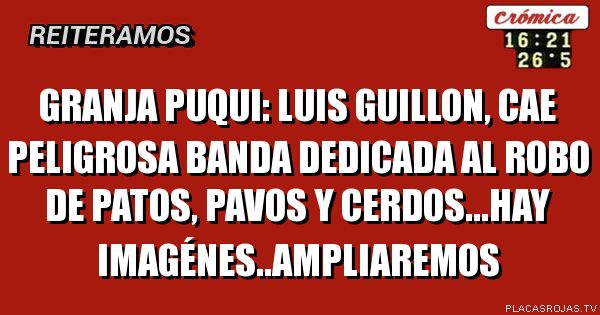 Granja puqui: luis guillon, cae peligrosa banda dedicada al robo de patos, pavos y cerdos...hay imagénes..ampliaremos