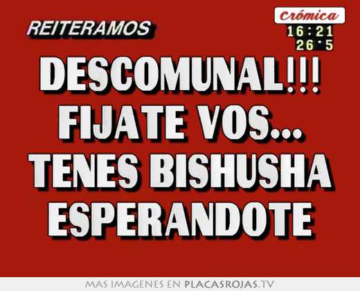 Descomunal!!! fijate vos... tenes bishusha esperandote