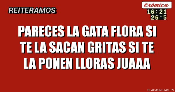 PARECES LA GATA FLORA SI TE LA SACAN GRITAS SI TE LA PONEN LLORAS JUAAA