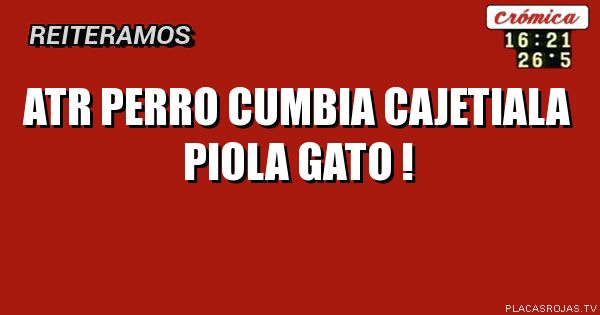 ATR perro cumbia  cajetiala piola gato !