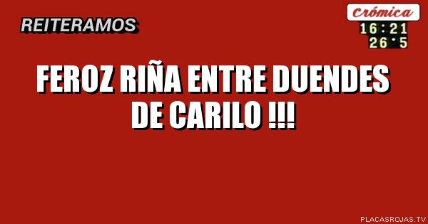 Feroz riña entre duendes de carilo !!!
