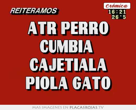 Atr perro cumbia  cajetiala piola gato