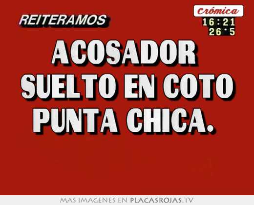 Acosador  suelto en coto punta chica.  
