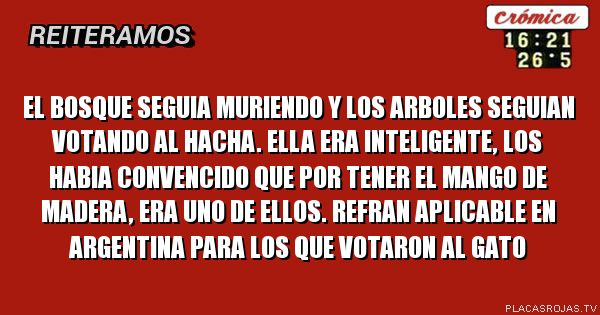 El bosque seguia muriendo y los arboles seguian votando al hacha. ella era inteligente, los habia convencido que por tener el mango de madera, era uno de ellos. refran aplicable en argentina para los que votaron al gato