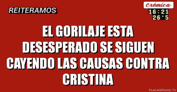 El gorilaje esta desesperado se siguen cayendo las causas contra cristina