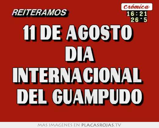 11 de agosto  dia internacional  del guampudo