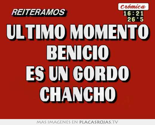 Último momento benicio es un gordo chancho