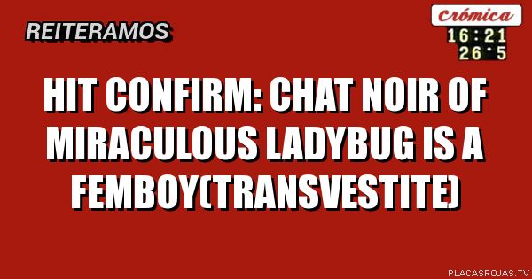Hit confirm:
Chat Noir of miraculous ladybug is a femboy(transvestite)