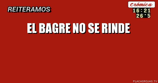 El bagre no se rinde