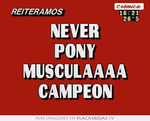 Never pony musculaaaa campeon