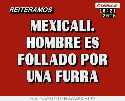 Mexicali. hombre es follado por una furra